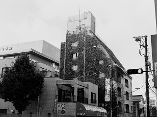 2026-08-20-asakusa-P9271177.ORF-1