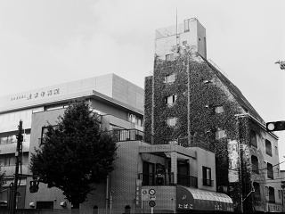 2026-08-20-asakusa-P9271178.ORF-0