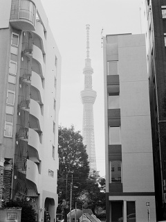2026-08-23-shinjuku-P9271175.ORF-0