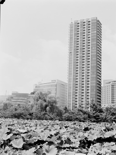 2026-08-23-ueno-P9271183.ORF-0