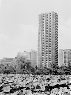 2026-08-23-ueno-P9271183.ORF-1