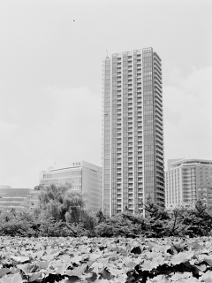 2026-08-23-ueno-P9271184.ORF-0