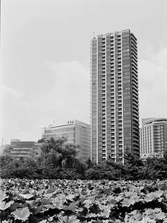2026-08-23-ueno-P9271185.ORF-0