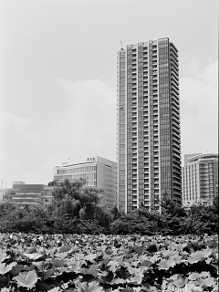 2026-08-23-ueno-P9271186.ORF-0