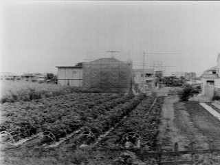 2026-08-23-ueno-P9271188.ORF-0