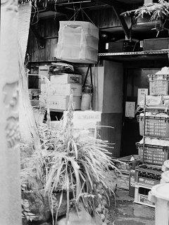 2026-08-23-ueno-P9271194.ORF-1