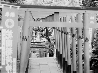 2026-08-23-ueno-P9271195.ORF-0