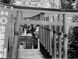 2026-08-23-ueno-P9271195.ORF-1