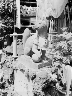 2026-08-23-ueno-P9271196.ORF-0