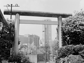 2026-08-23-ueno-P9271197.ORF-1
