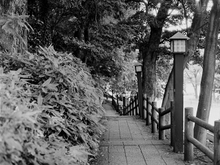 2026-08-23-ueno-P9271199.ORF-1