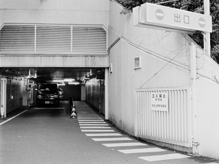 2026-08-23-ueno-P9271200.ORF-0