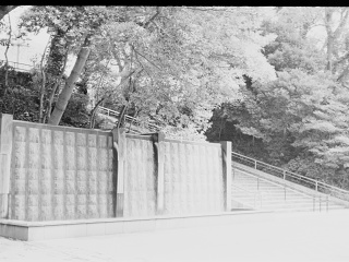 2026-08-24-ueno-P9271160.ORF-0