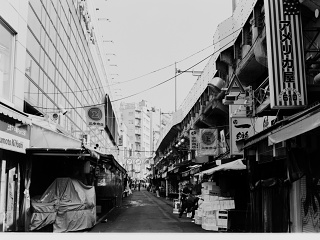 2026-08-24-ueno-P9271214.ORF-1