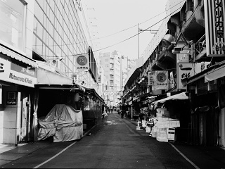 2026-08-24-ueno-P9271215.ORF-0