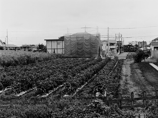 2026-08-28-tachigawa-P9271188.ORF-1